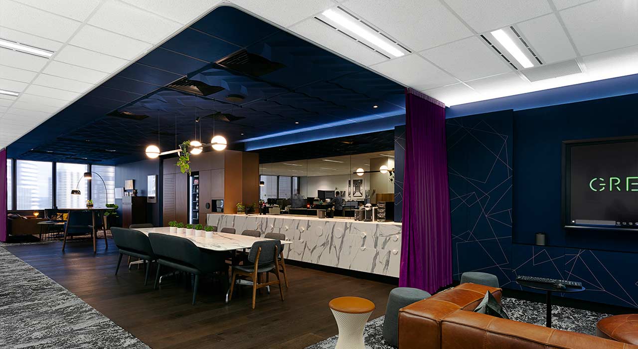 dark blue acoustic solutions on walls and ceiling of office