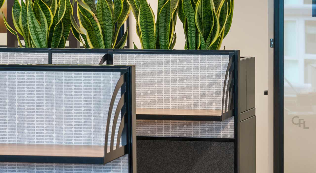 Ecoustic Meta in Collins Food office