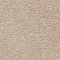 detail of a textured cream leather finish