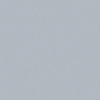 Textures Polished Silver